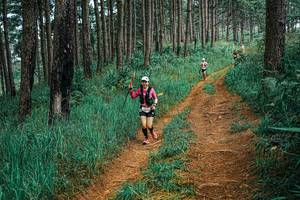 BIB: 
                            <button type="button" onclick="openModal(25653097)" class="btn btn-primary btn-sm float-right btn-popup" data-toggle="modal" data-target=".modal-high-quality">
                        <i class="fas fa-shopping-cart"></i> Add to Cart
                    </button>
                                            <button type="button" onclick="isThisMe(25653097, true)" class="btn btn-success btn-sm float-right btn-popup btn-isme hidden" data-toggle="tooltip" data-placement="bottom" title="นี่คือรูปของคุณใช่ไหม คลิกที่นี่เพื่อเอาเข้าอัลบั้ม">
                        <i class="fas fa-plus"></i> Add to album
                    </button>
                    <button type="button" onclick="isThisMe(25653097, false)" class="btn btn-warning btn-sm float-right btn-popup btn-isnotme hidden">
                        <i class="fas fa-ban"></i> Remove from album
                    </button>